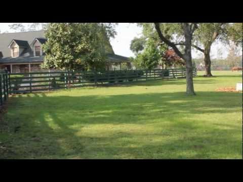 how to fertilize horse pasture