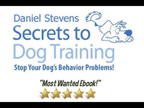 how to train service dogs book