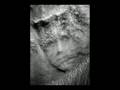 Mars Anomalies, Water, Plants, Life!? HD