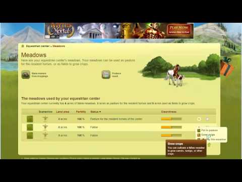how to start off your ec on howrse