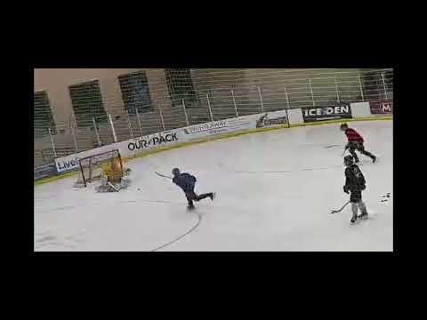 AZ PDC:  Goalie Skills Session