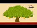 Learn about Plants  in Hindi - Trees
