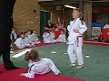 20 april 2008 Shin Hajimeru Judo Paddenpad