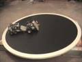MINDSTORMS NXT Sumo Competition Winners