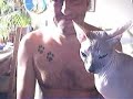 DON SPHINX CAT mimichat DON SPHINX CAT mimichat