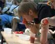 Ekonomalia 2008 - Pomidorki