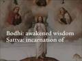 The-Path-of-the-Bodh