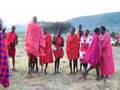Masai tribe dances