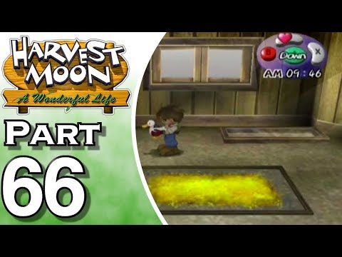 how to harvest ducks