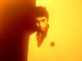 AMAZING SCARFACE