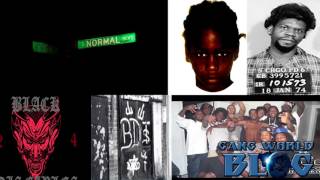 CHICAGO GANGS