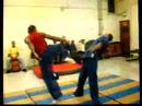 Extreme Atemi Aiki Jujitsu Demo NYC grandmaster soto