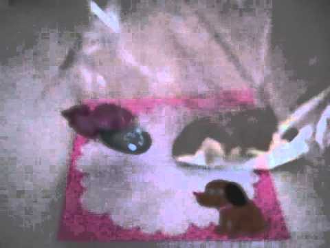 how to make a love potion ehow