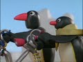 pingu