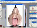 Video-Tutorial Photoshop: Fotomontaż