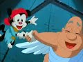 Wakko-s-Wish-The-Des