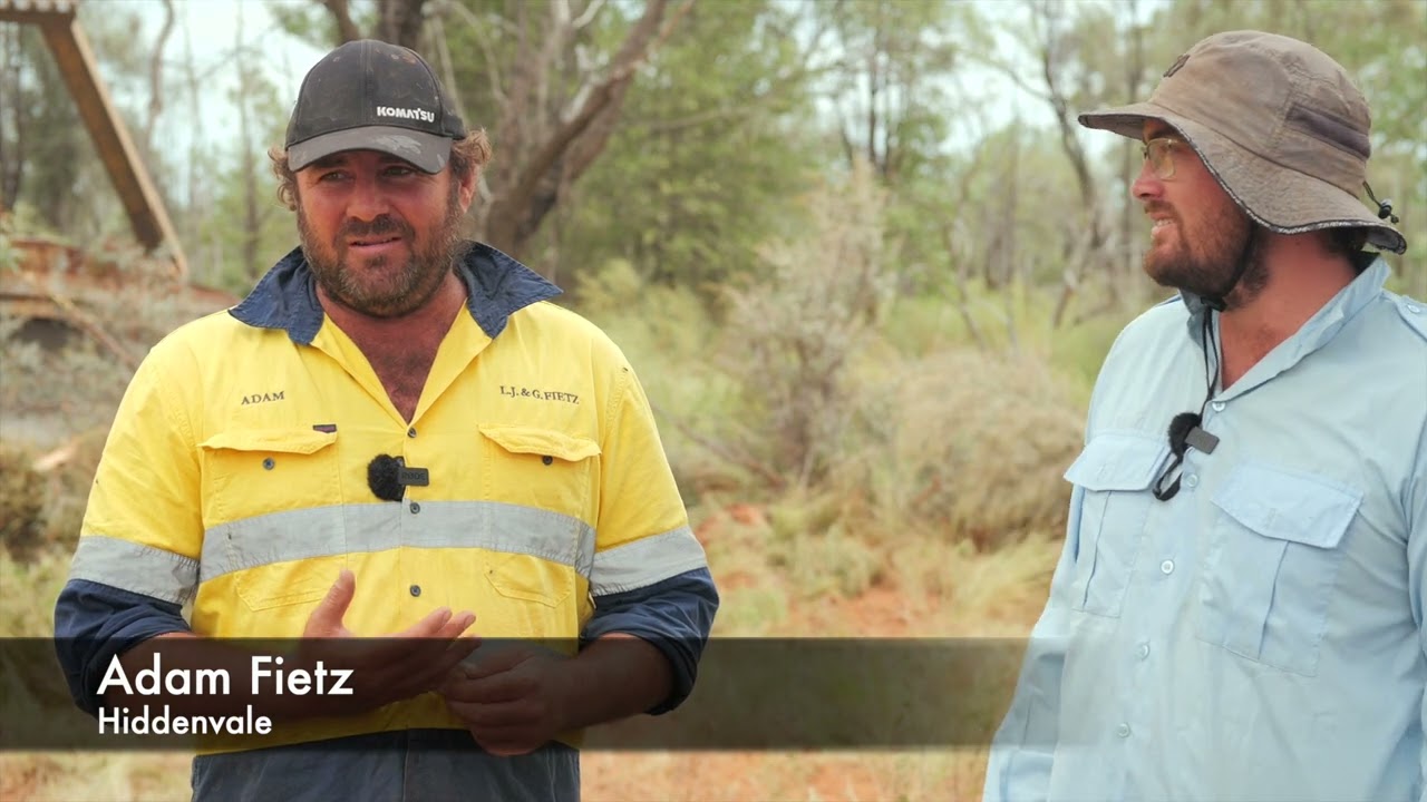 Hiddenvale: Developing a functioning landscape