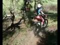 Van Reenens EWXC 08