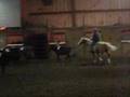 Loray Farm Team Penning