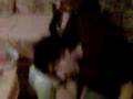 Video000.3gp