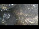 how to get an object out of a drain