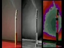 Temporal