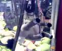 The Claw Machine - Success 4 Donkey from Shrek The Claw Machine - Success 4 Donkey from Shrek