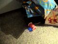 (uploaded by golovlev)&nbsp;Run-Around Wake-Up-n-Catch-Me video