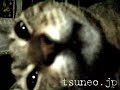 凶暴ツネオ♪