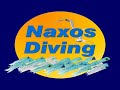 Naxos-Diving-com-Ara