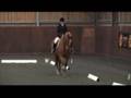 ILPH Georgetown & Amy Smith - Dressage Test Prelim 7