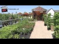 Gartencenter Micko Helmut Pflanzenparadies in Lieboch, Graz