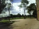 video skate