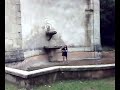 in a beautiful derelict fountain in villenvette france, petra jean plays new unrecorded song to the birds and the mobile phone.