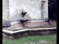 in a beautiful derelict fountain in villenvette france, petra jean plays new unrecorded song to the birds and the mobile phone.