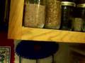Grinding Whole Organic Golden Flax Seeds into Flax Meal