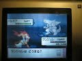 palkia appears 3