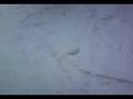 bariloche agosto 2008