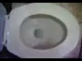 american-toilet.html