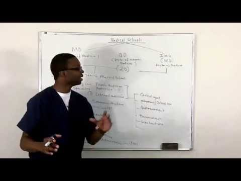 how to decide which medical schools to apply to