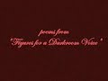 joshua marie wilkinson and noah eli gordon read poems from 