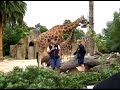 Melbourne Zoo AU