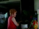 Crock Pot Dinner
