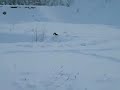 02.01.2010