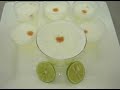 pisco sour / instituto de los andes