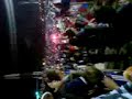 Los de Abajo en Serena