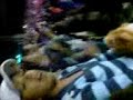 Los de Abajo en Serena