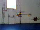 Honey Bee FP Stationnaire