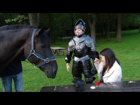 how to involve dog in proposal