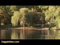 - MovieZen Video